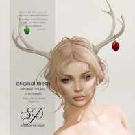 Snowpaws - Reindeer Antlers - Ornaments